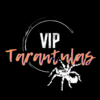 VIP Tarantulas