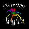 Fear Not Tarantulas